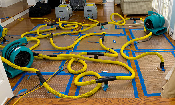 Professional Flood Damage Restoration technician working in Attalla, AL
